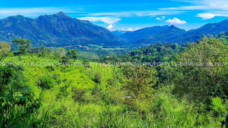 200 acres Estate Land & 80 Perch bearable commercial main road frontage Land for Sale